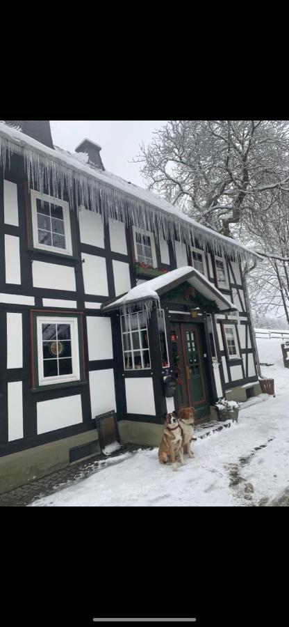 Гостевой дом Berghof Schmitte Винтерберг Экстерьер фото