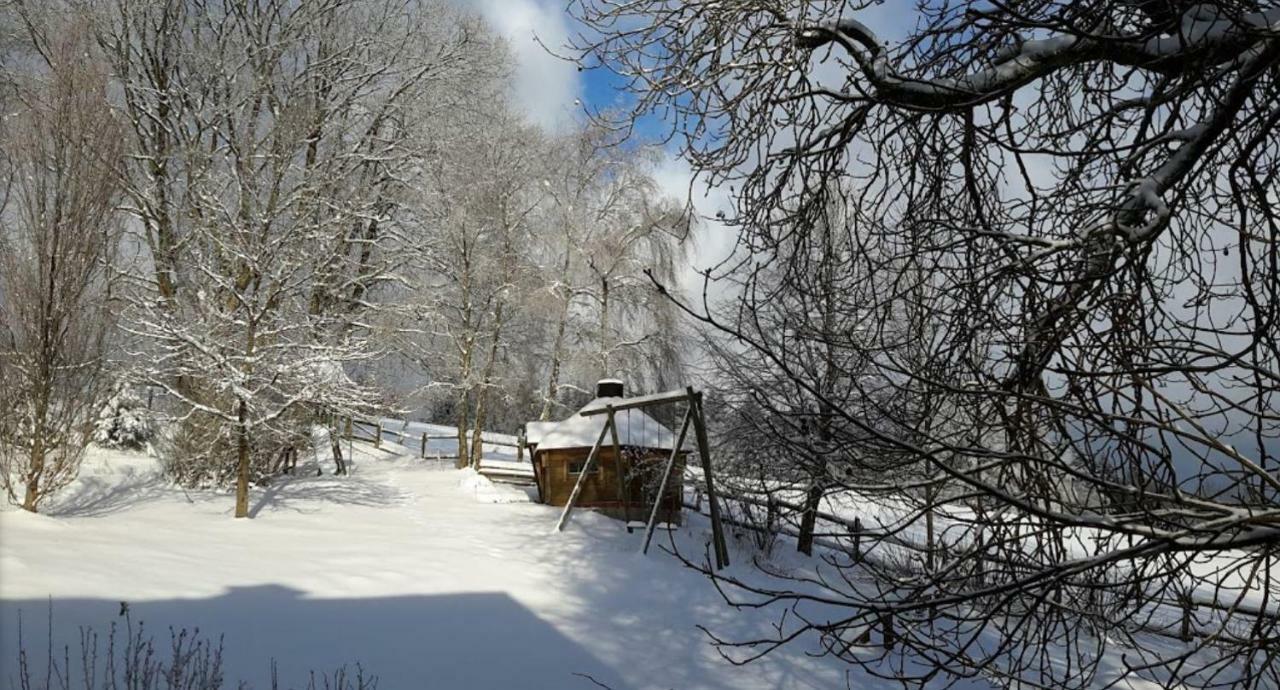 Гостевой дом Berghof Schmitte Винтерберг Экстерьер фото