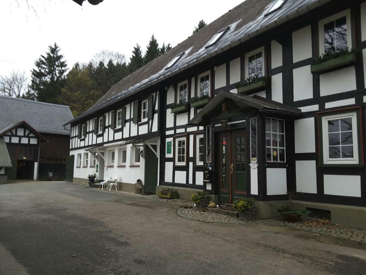 Гостевой дом Berghof Schmitte Винтерберг Экстерьер фото