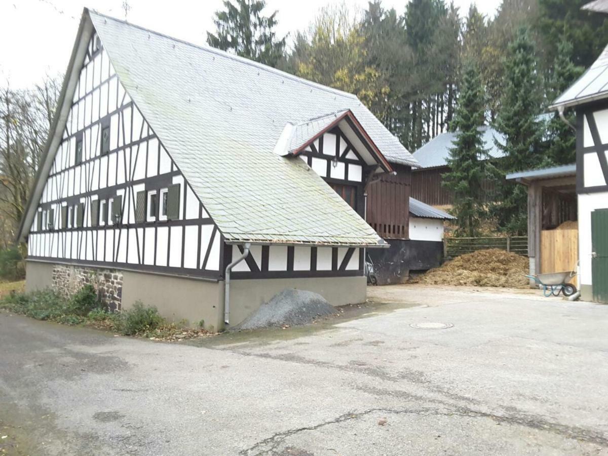 Гостевой дом Berghof Schmitte Винтерберг Экстерьер фото