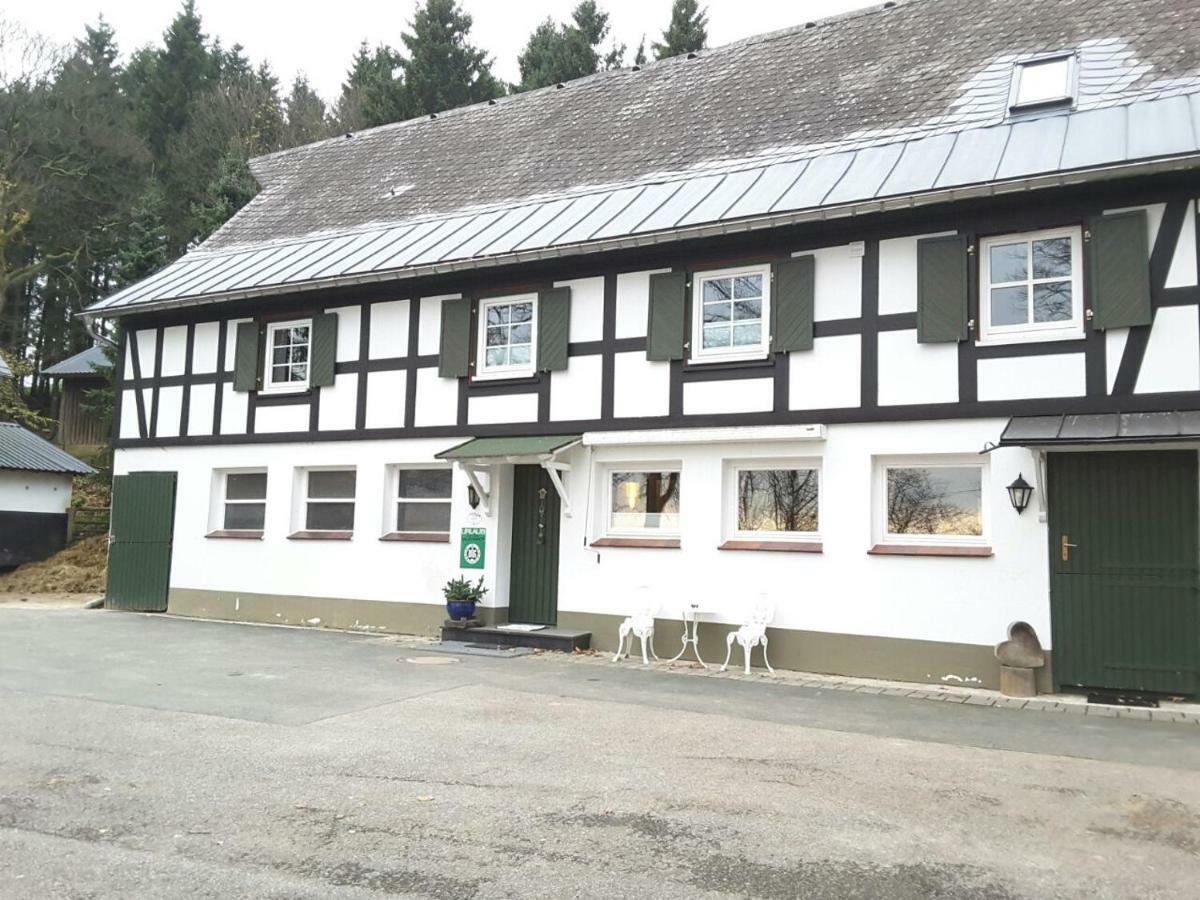 Гостевой дом Berghof Schmitte Винтерберг Экстерьер фото